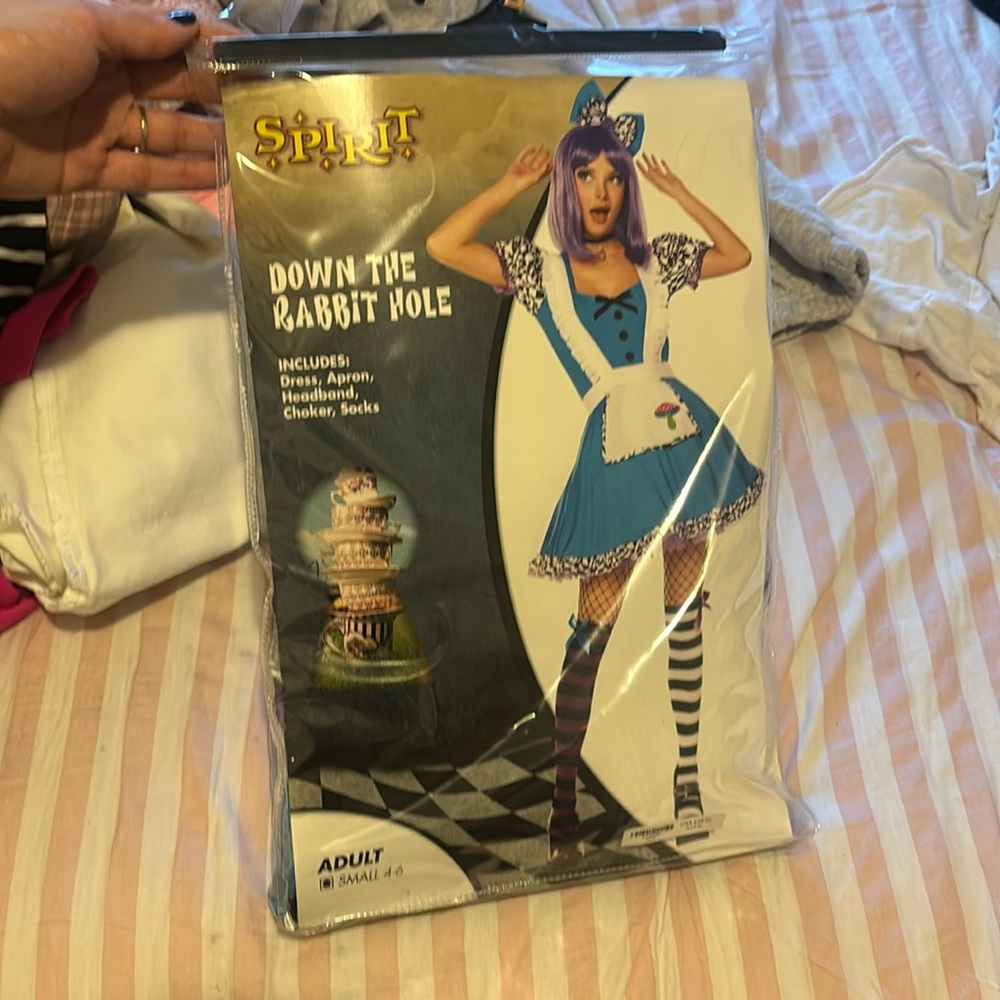 Adult Alice in wonderland women costume